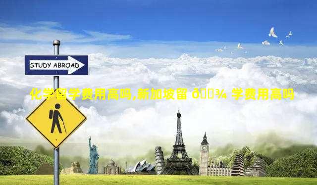 化学留学费用高吗,新加坡留 🌾 学费用高吗